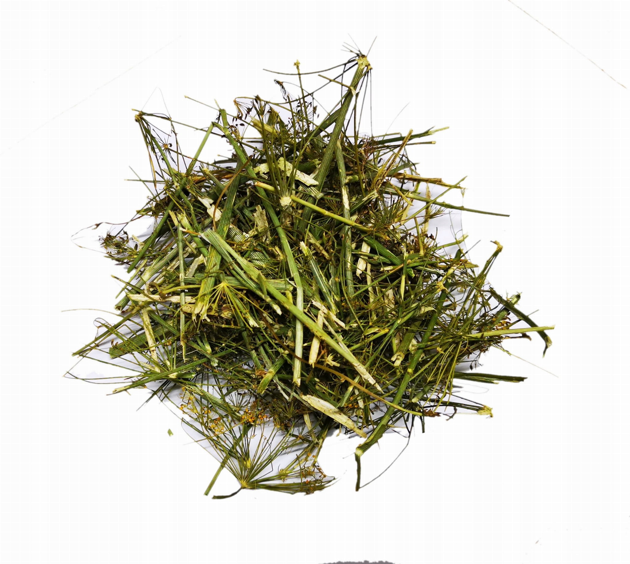 Levně Fenykl zahradní – celá bylina na krmivo – 7000 g 7 kg