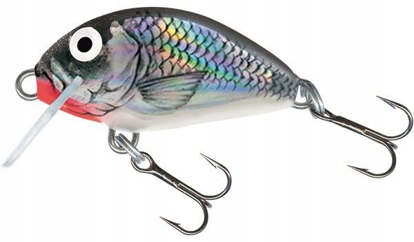 

Wobler Salmo Tiny Floating 3cm/2g