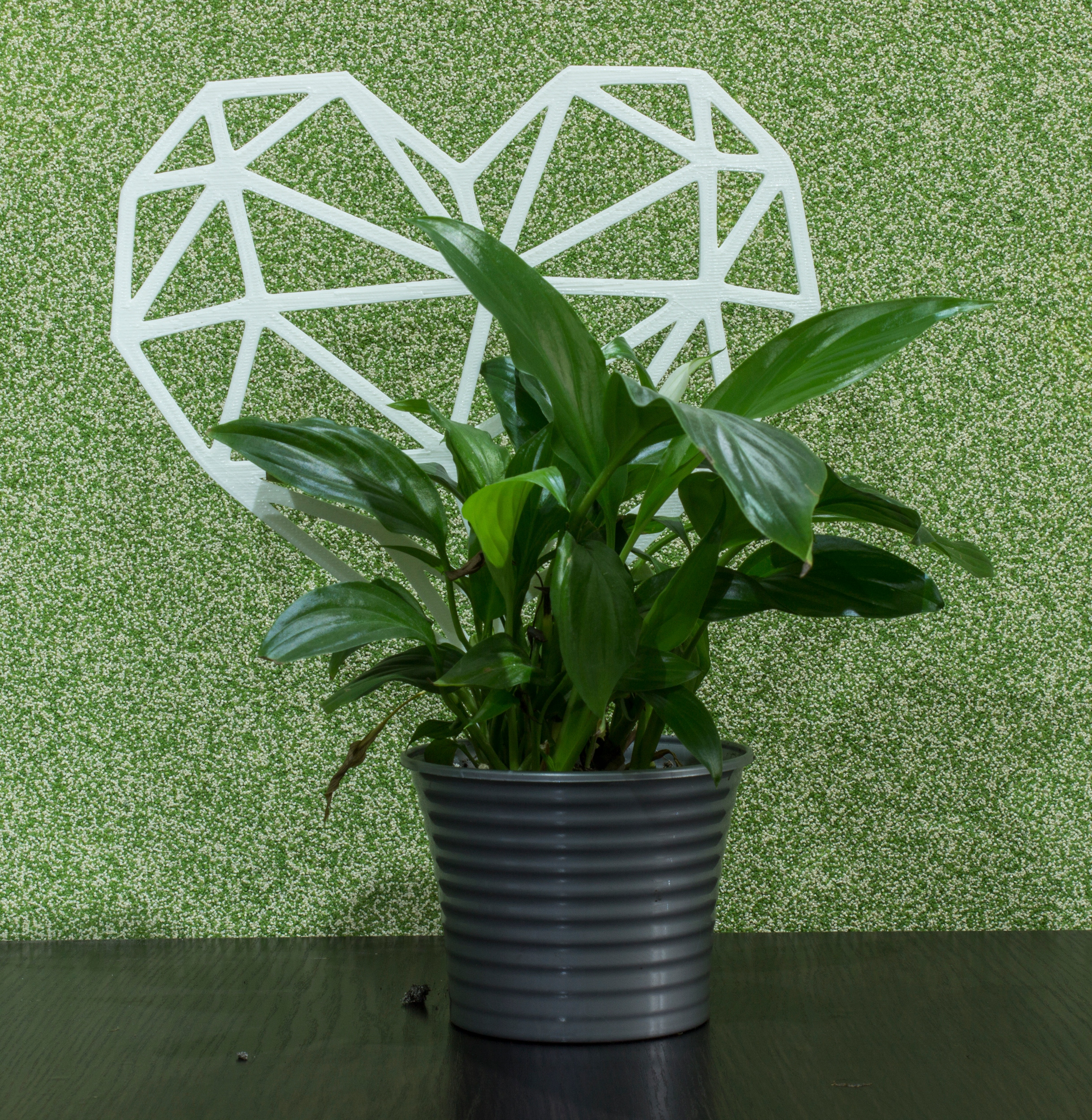 PODPÓRKA KWIATÓW ROŚLIN DRABINKA PERGOLA SERCE Rodzaj drabinka