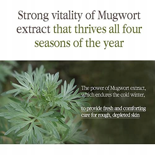 Pyunkang Yul Hluboký Tonik S Černým Čajem 130 ML