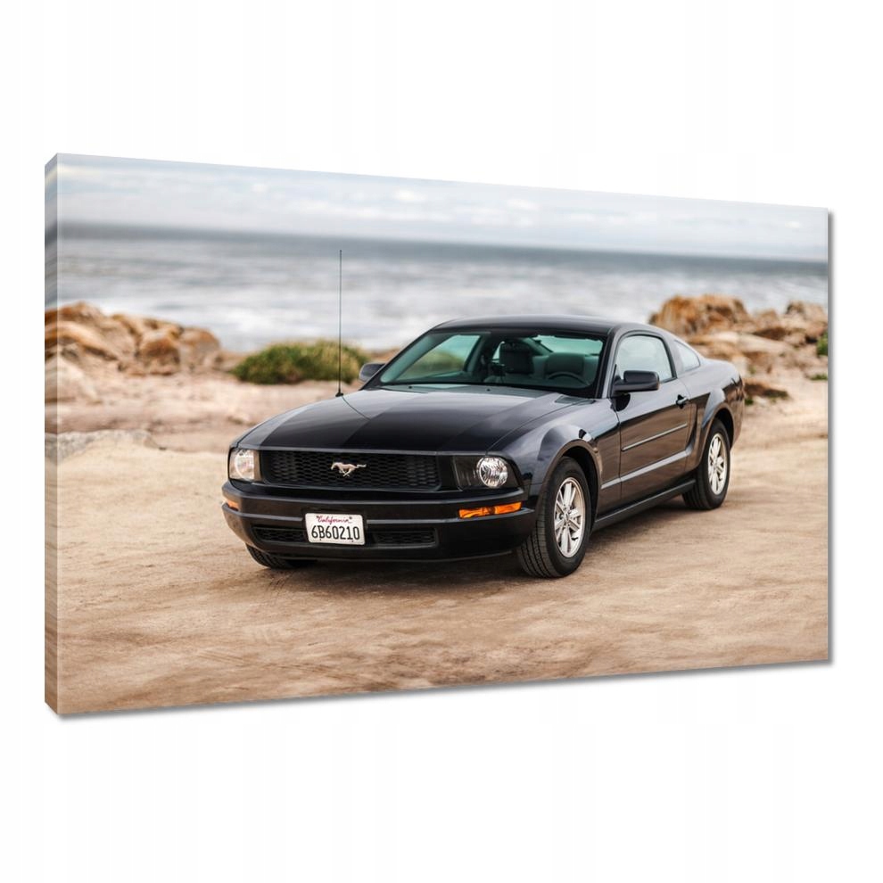 

Obrazy 120x80 Czarny Ford Mustang