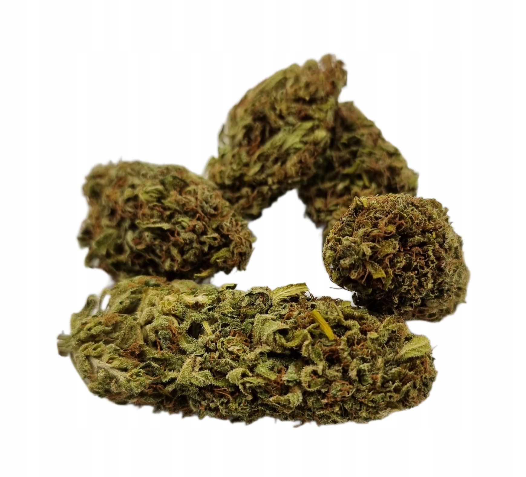 

Kosmos – Susz Konopny CBD~6,5% THC<0.29% 2G