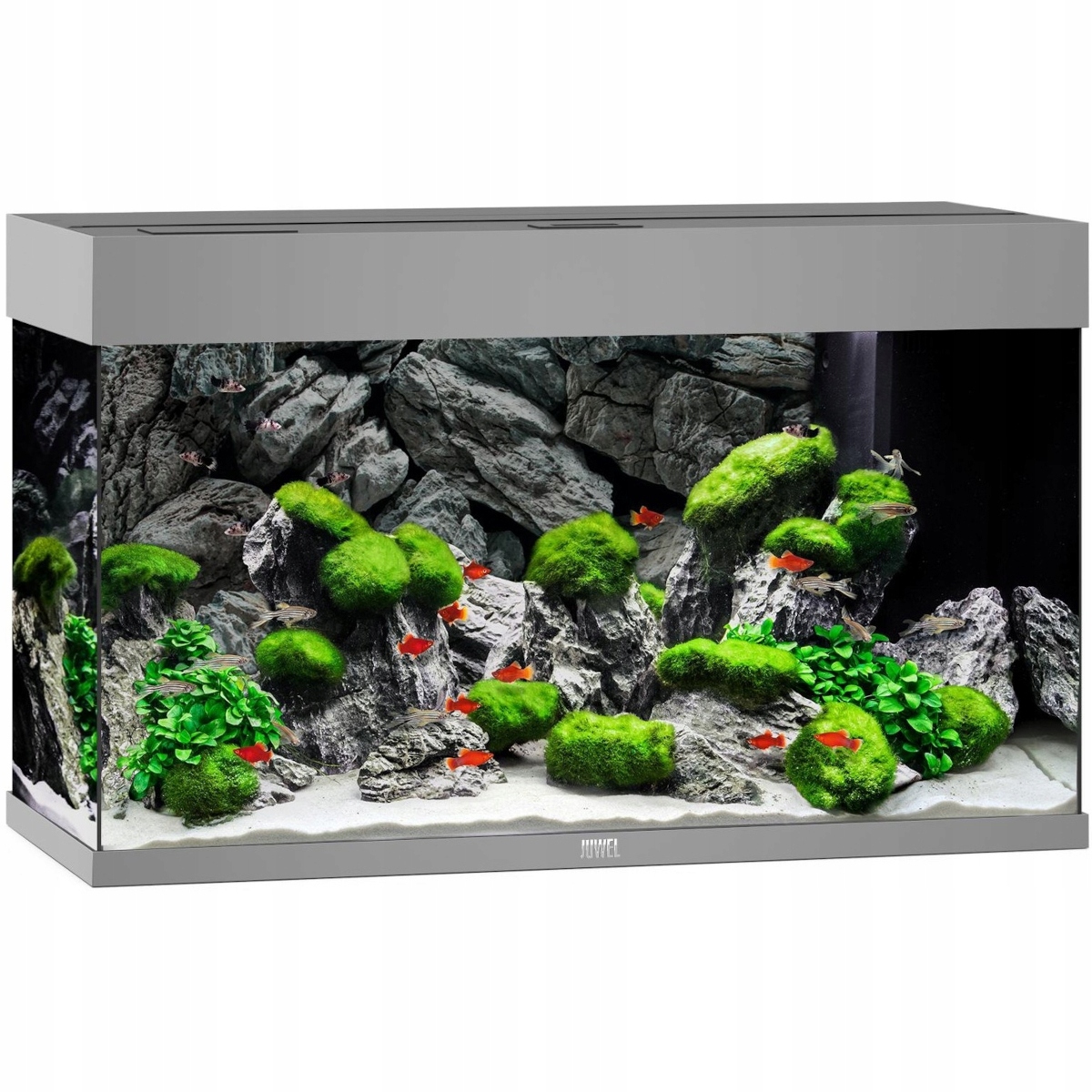 Juwel Rio 125 Led akwarium zestaw szary