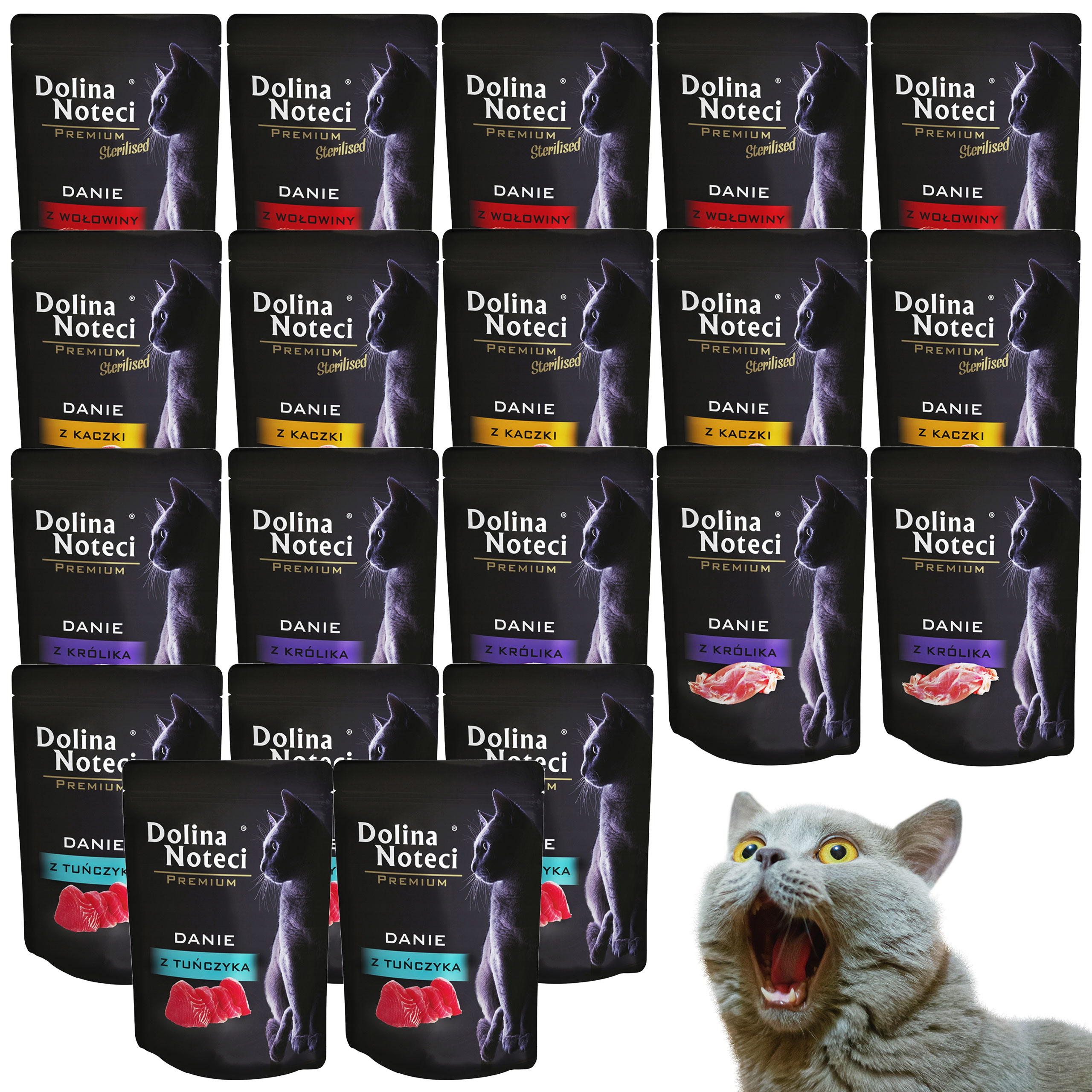 Levně Dolina Noteci Premium pro kočky mix chutí 20 x 85 g