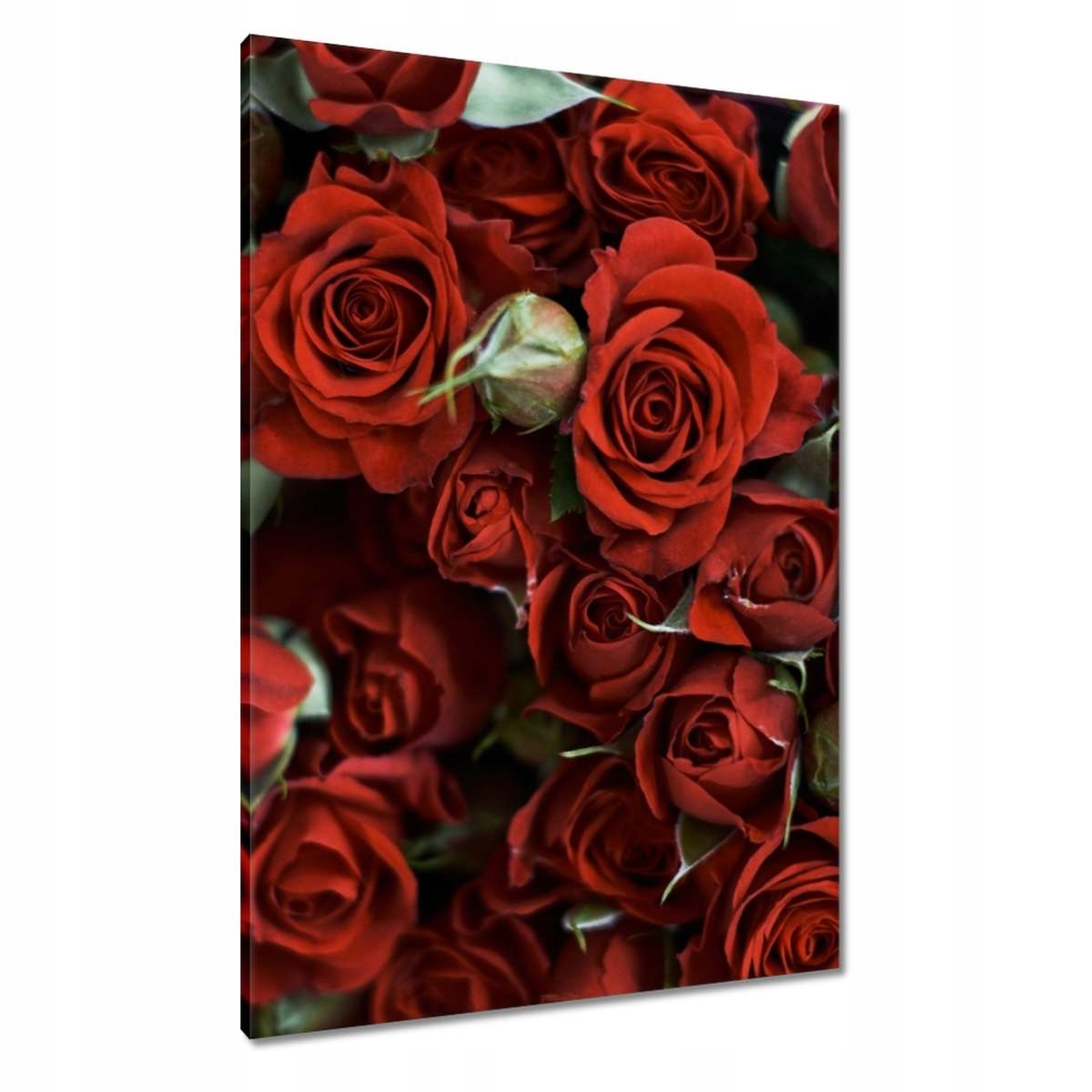 Obrazy 70x100 Den žen Dárek Láska