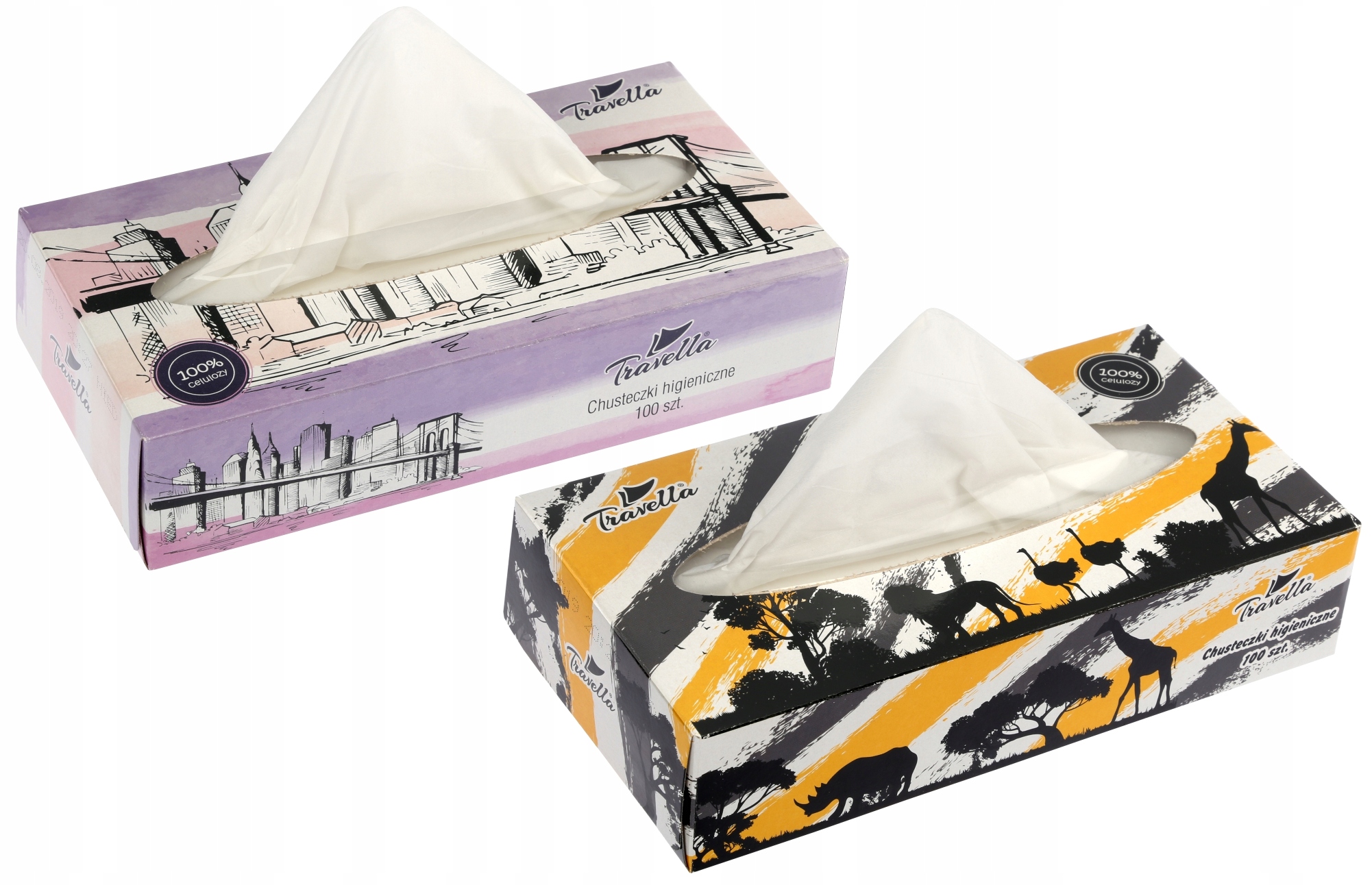 

Chusteczki Higieniczne Wyciągane 2 Warstwy 100 szt