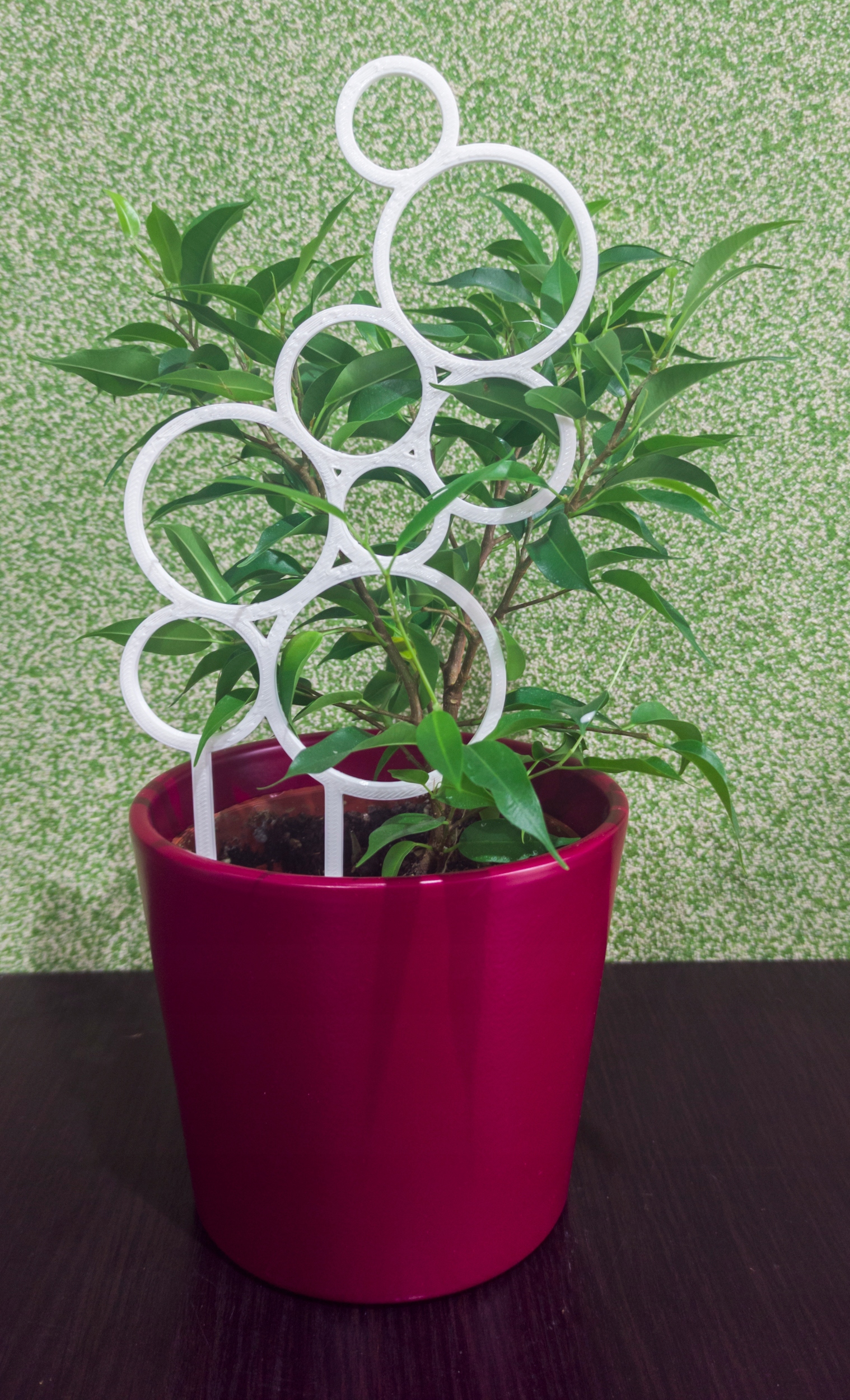 PODPÓRKA KWIATÓW ROŚLIN DRABINKA PERGOLA KOŁA 26cm Rodzaj drabinka