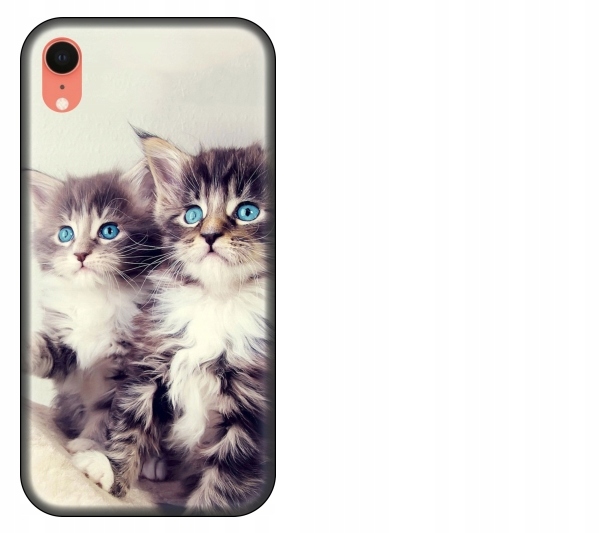 

Etui Case do iPhone Xr Koty kotki