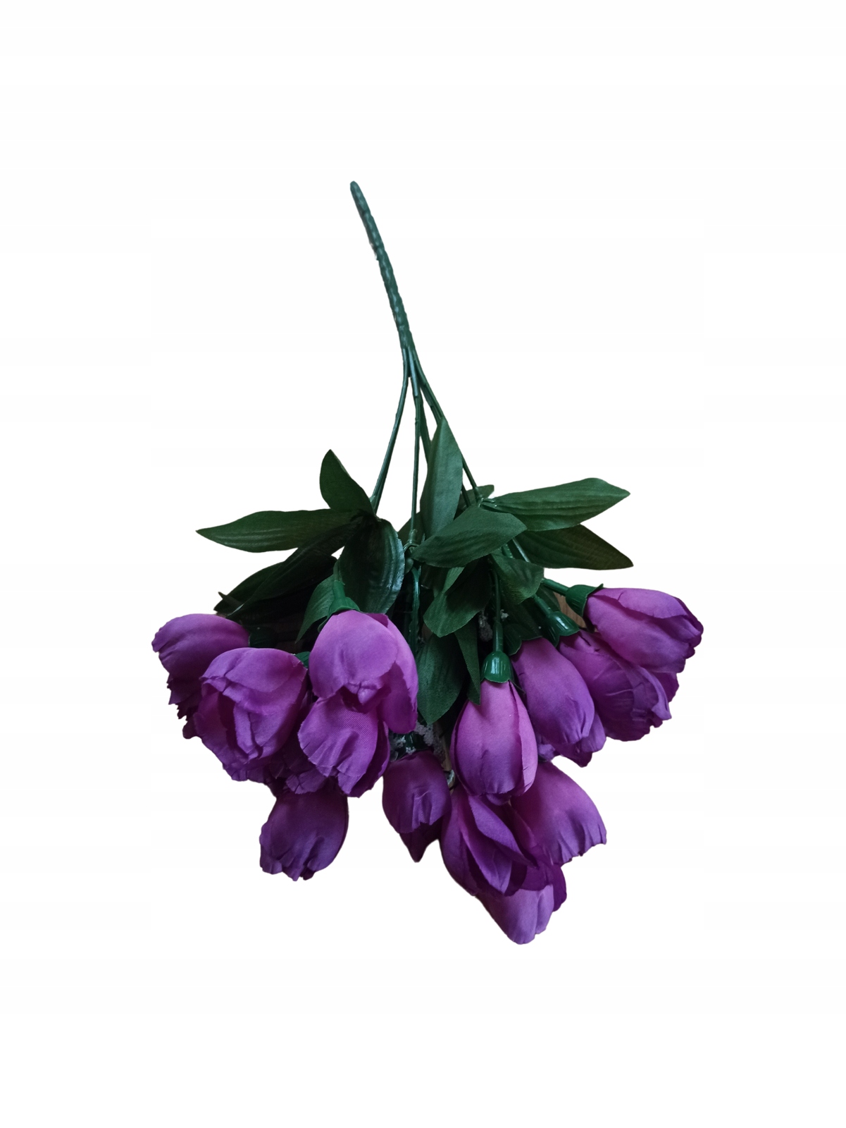 Bukiet krokusa - fioletowy