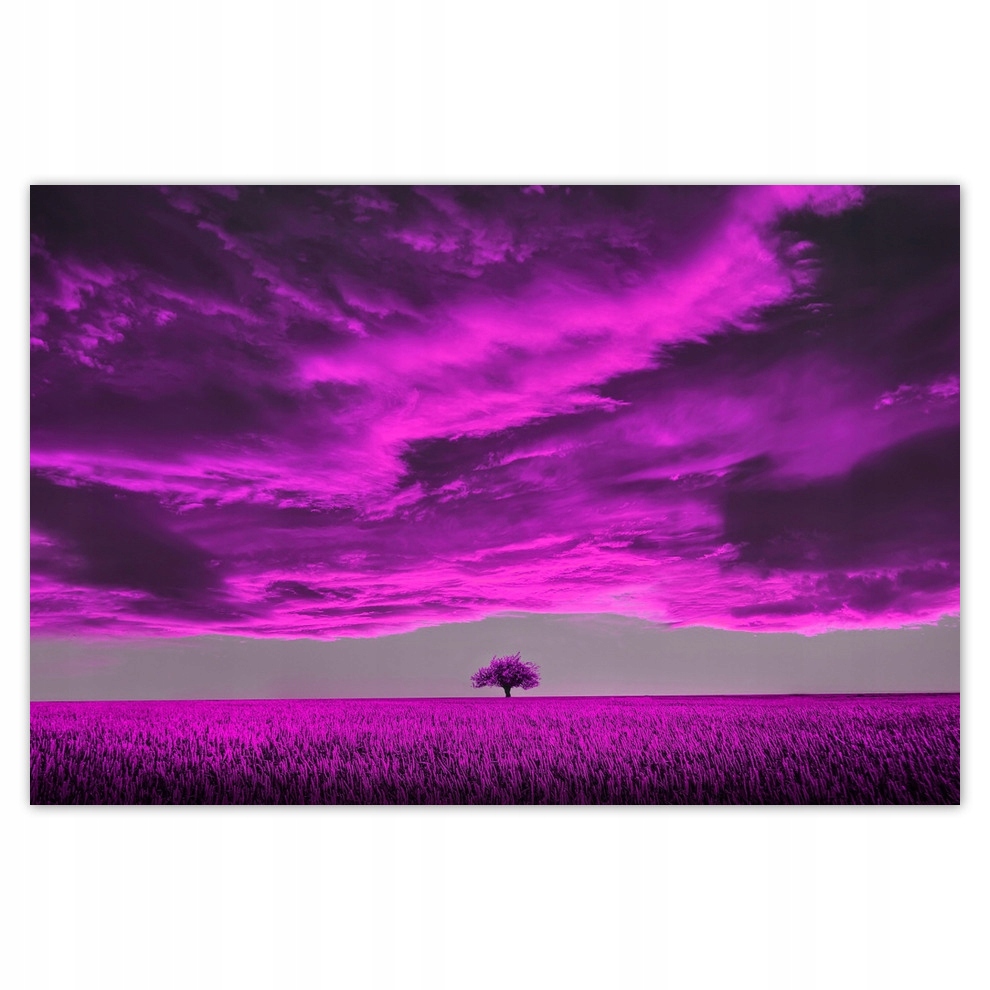 

Plakaty 93x62 Fioletowy pejzaż