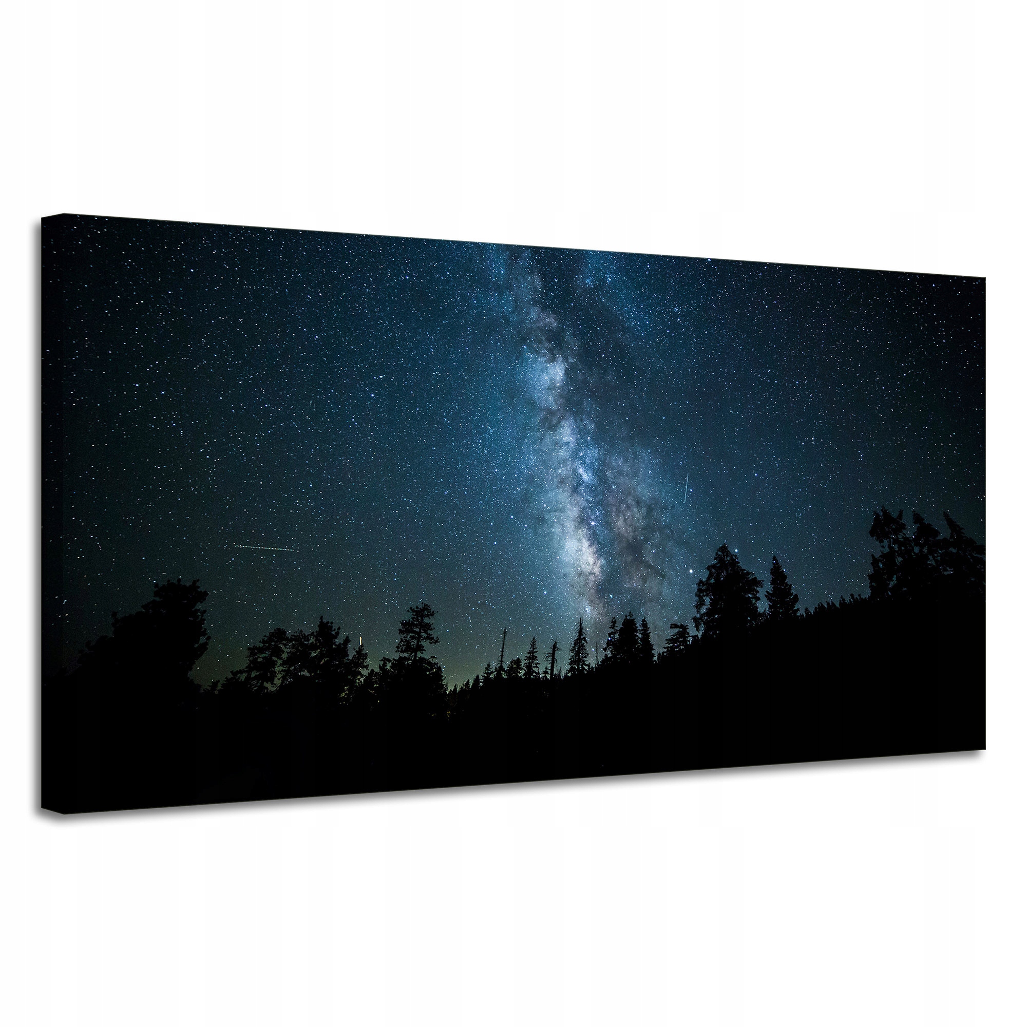 Obraz na plátně Vesmír Noc Les Mlhovina Příroda Astronomie 120x60