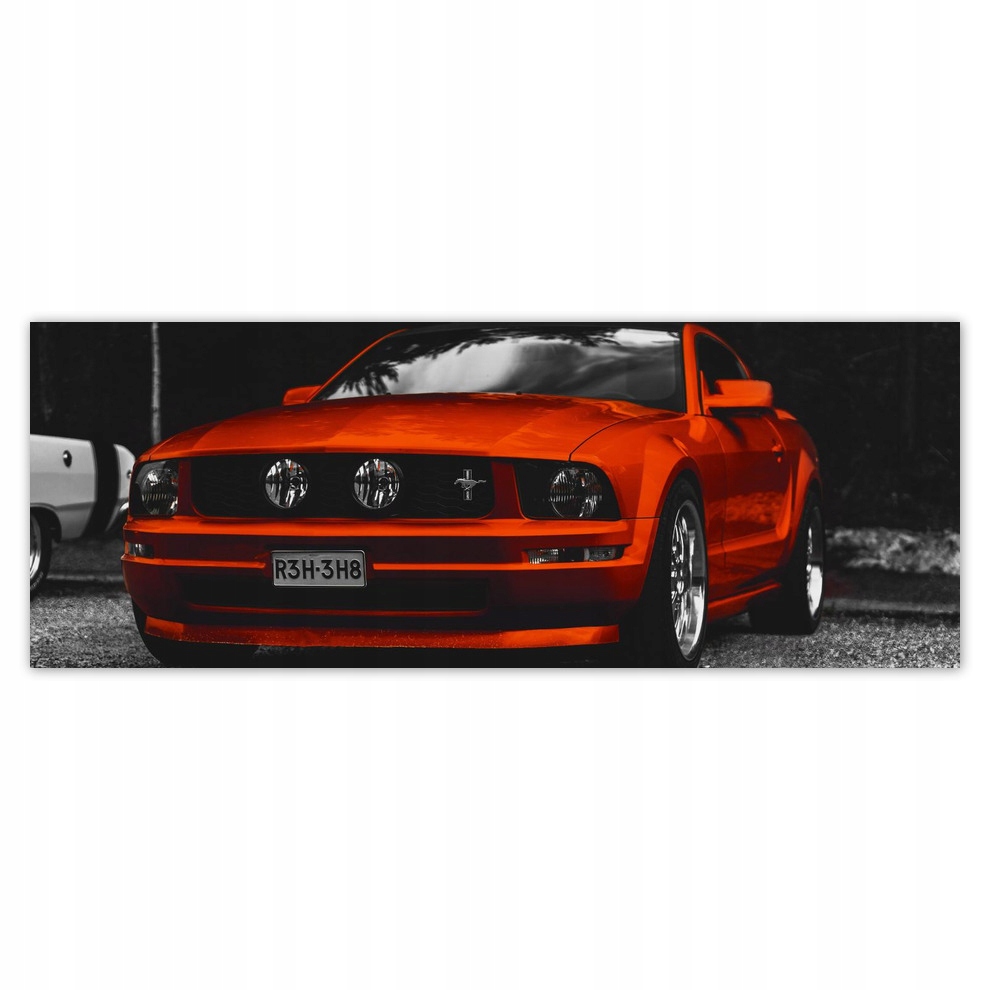 

Fototapety flizelina 250x93 Czerwony Ford Mustang