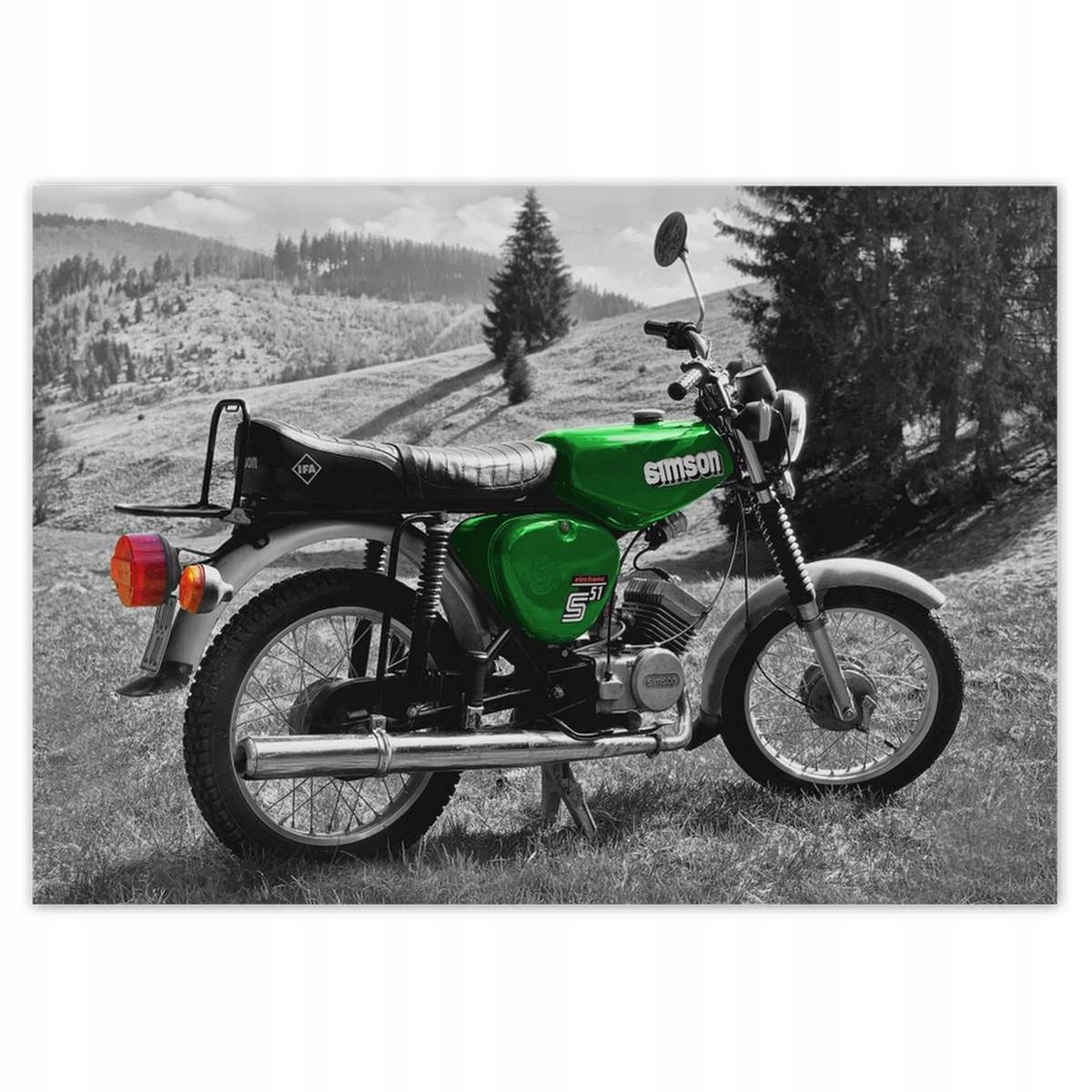 Fototapety 208x146 Zelený Simson S51 E