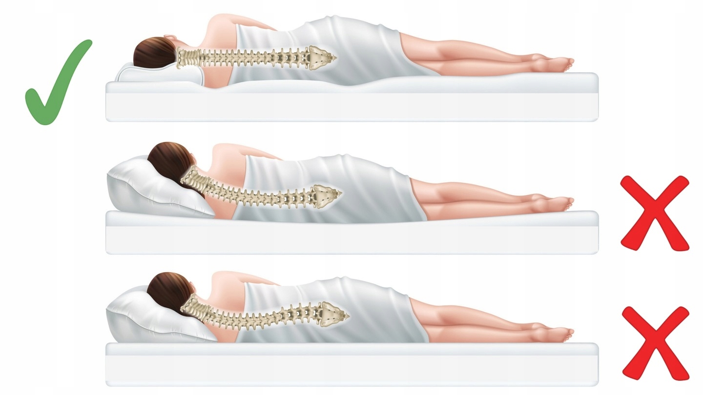 Ortopedyczna poduszka TERMOPLASTYCZNA ALOES 40x60 Szerokość produktu 40 cm