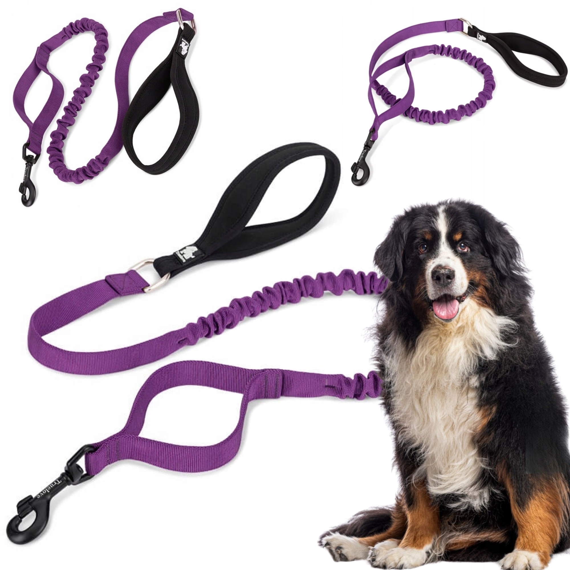 Levně Vodítko Pro Psa S Tlumičem Silná Truelove Adventure 160 CM Fialová L