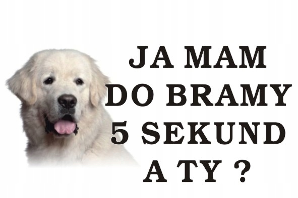 

Tabliczka Pies Ja Mam Do Bramy 5s. A Ty 40x30cm221