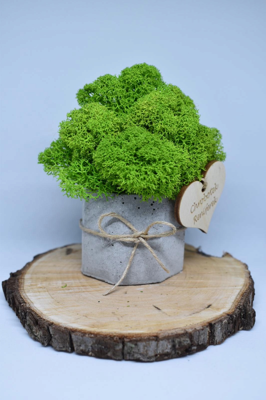 Prezent Chrobotkowy las zestaw Forma w doniczce, pojemniku