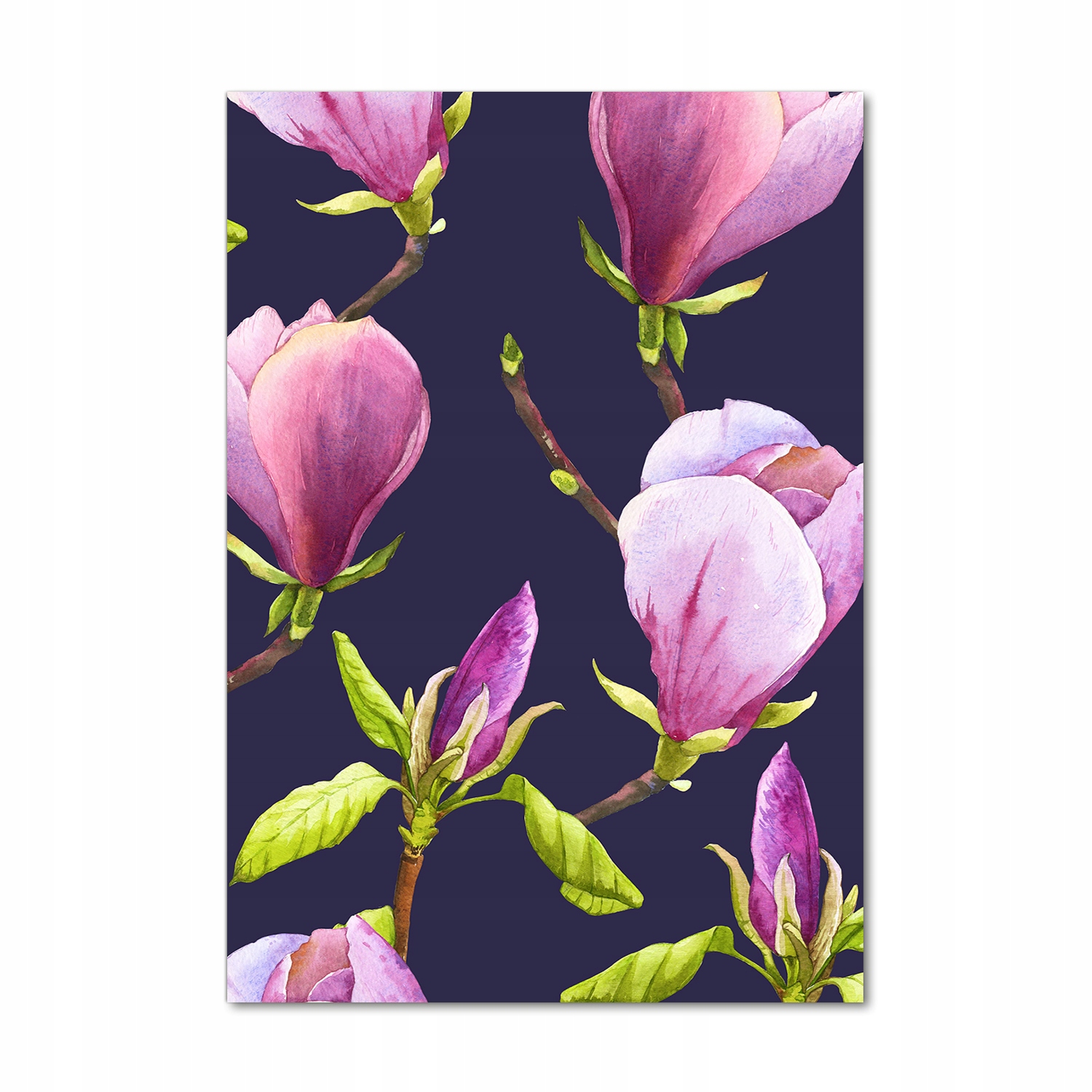 

Foto obraz akrylowy na ścianę Magnolia 70x100 cm