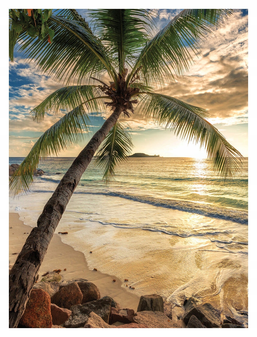 Fototapeta Pláž Palma Oceán Exotika Relax vinylová 184x254 lepidlo