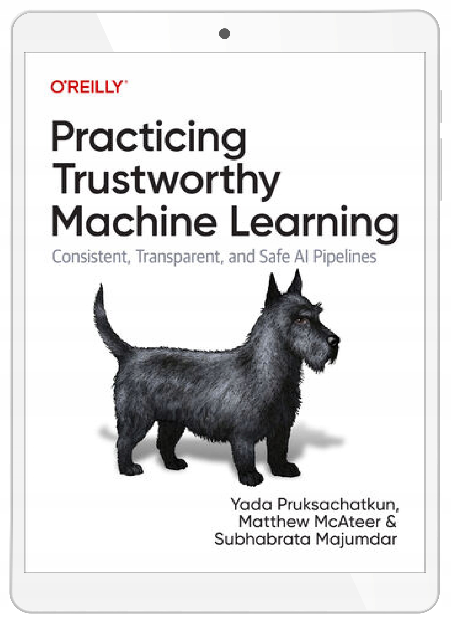 Practicing Trustworthy Machine Learning