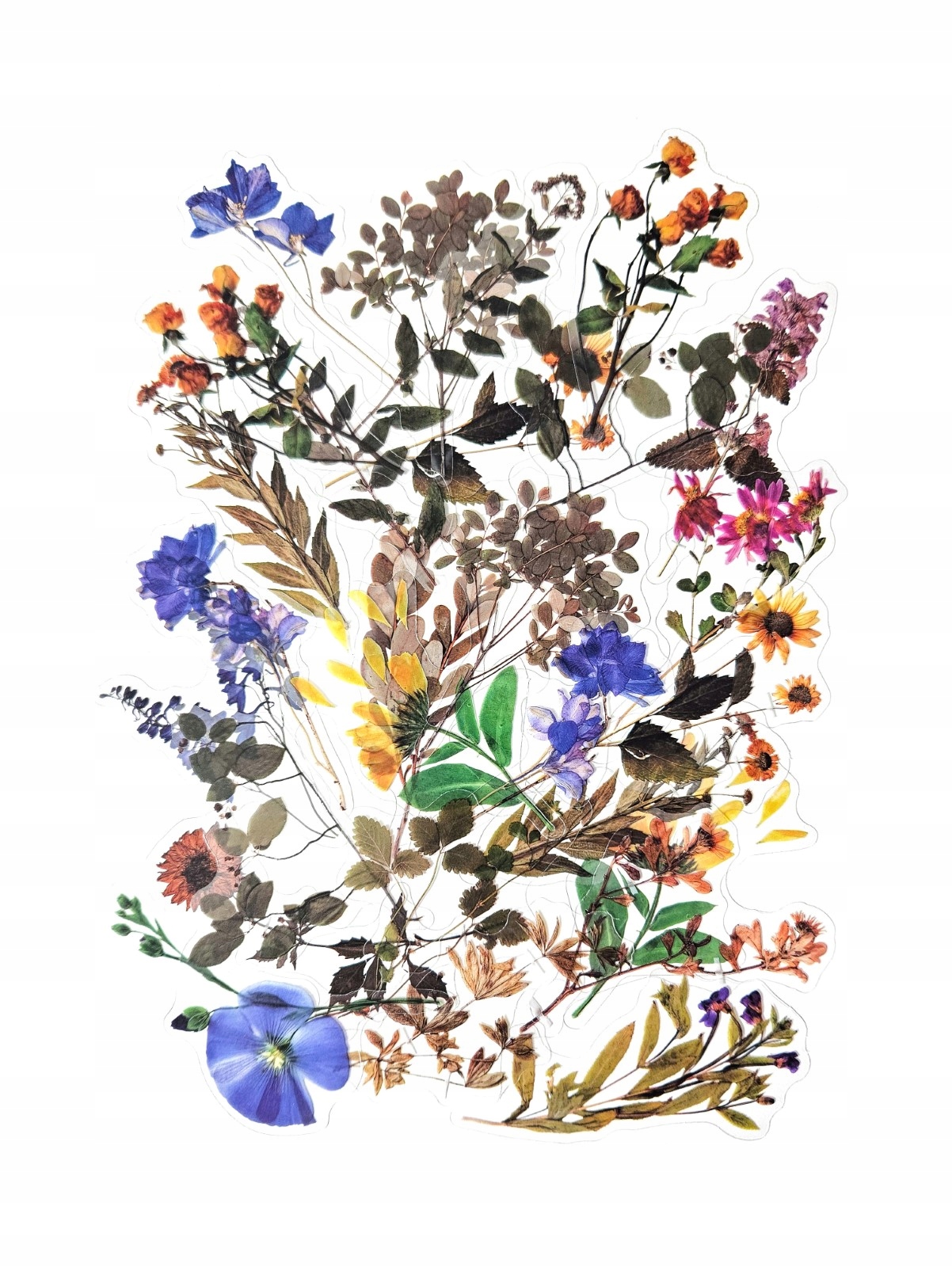 Naklejki transparentne Polne kwiaty 40 szt