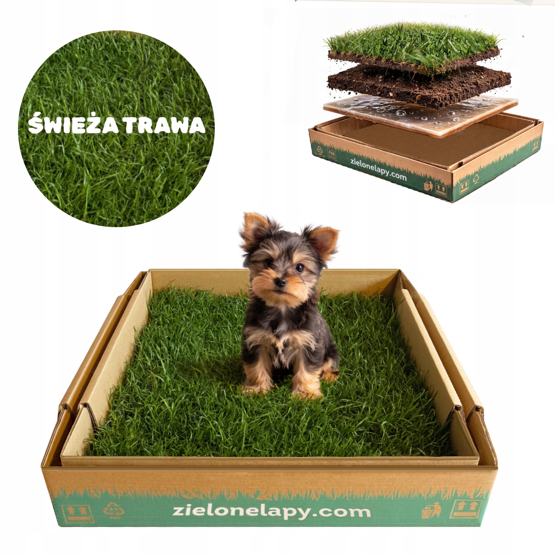 Levně Toaleta pro psy z přírodní trávy 50x50 cm, toaleta