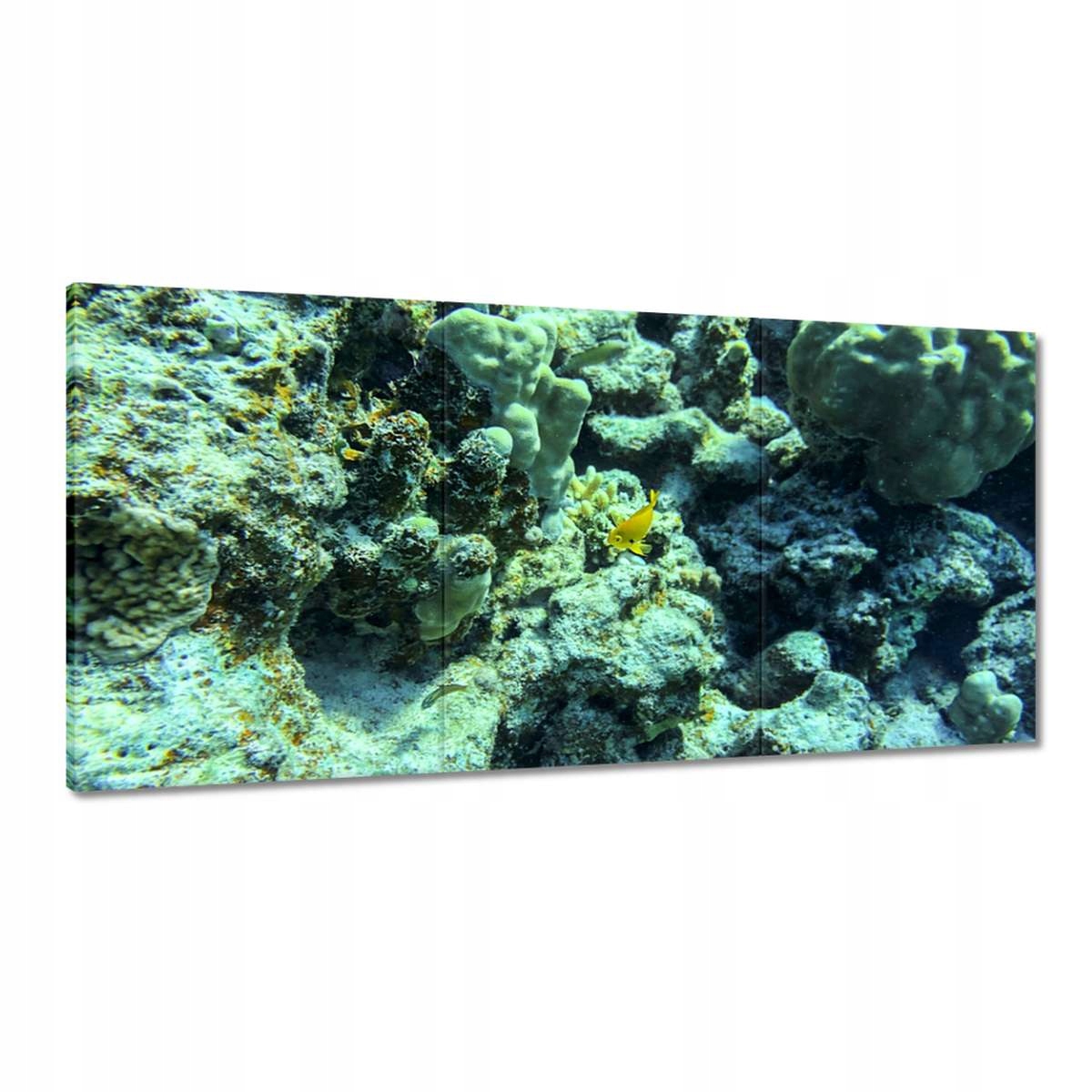 Obrazy 180x90 Podmorský svet v útese