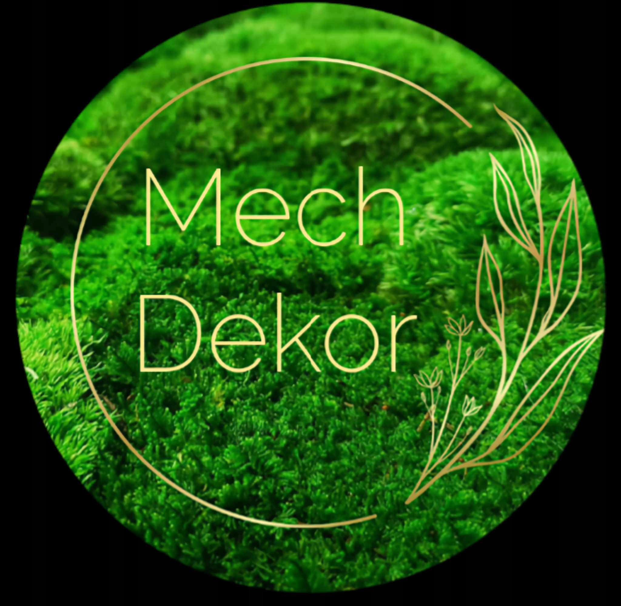 OBRAZ Z MCHEM DRZEWO ŻYCIA Rodzaj mech chrobotek