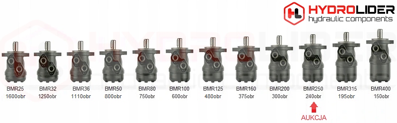SILNIK HYDRAULICZNY BMR 250 O2W32 T HYDROLIDER Producent części Hydrolider
