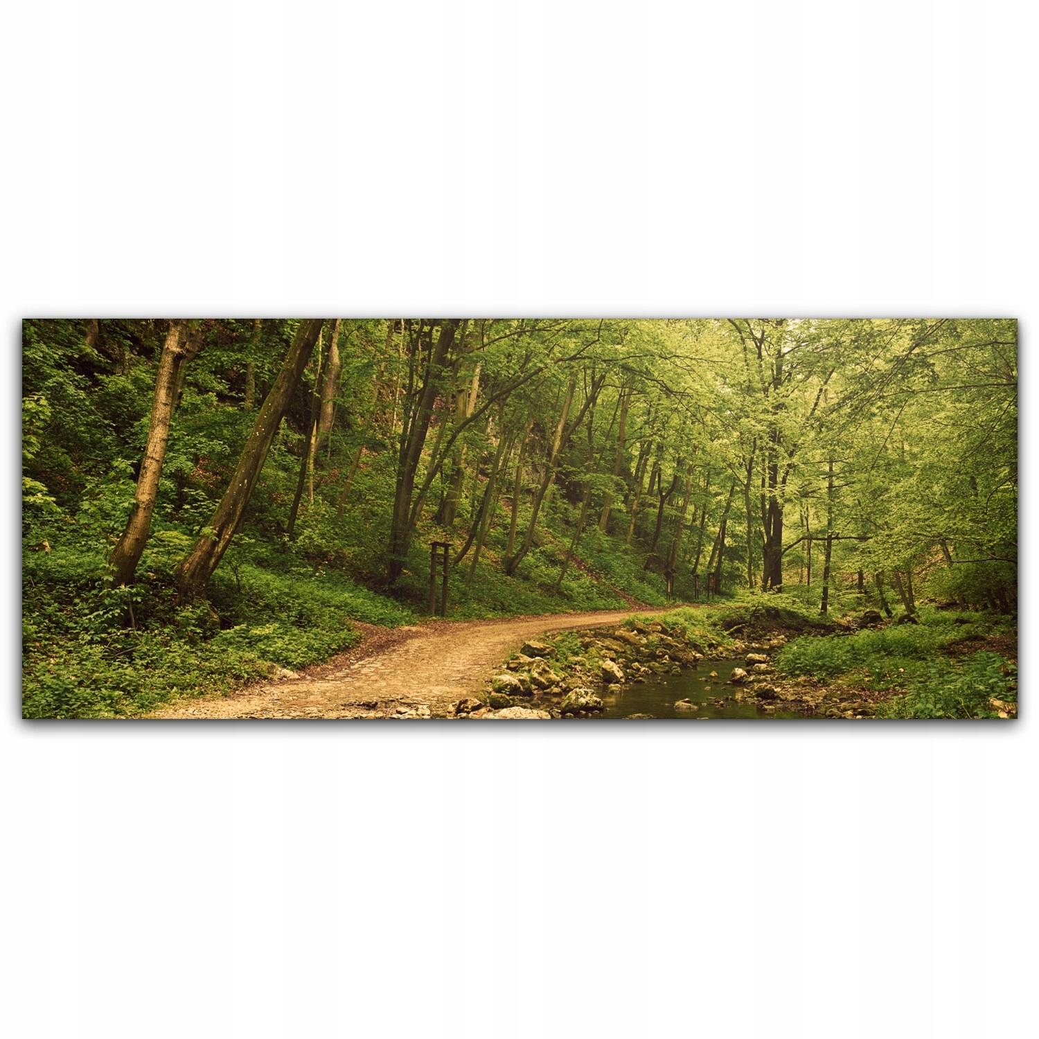 

Canvas na ramie ścienny 125x50 Ścieżka Las Drzewa