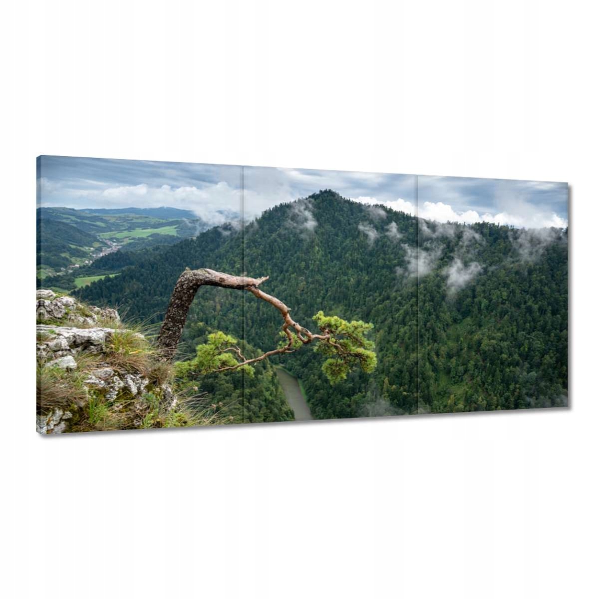 Obrazy 180x90 Krajina Sokolica