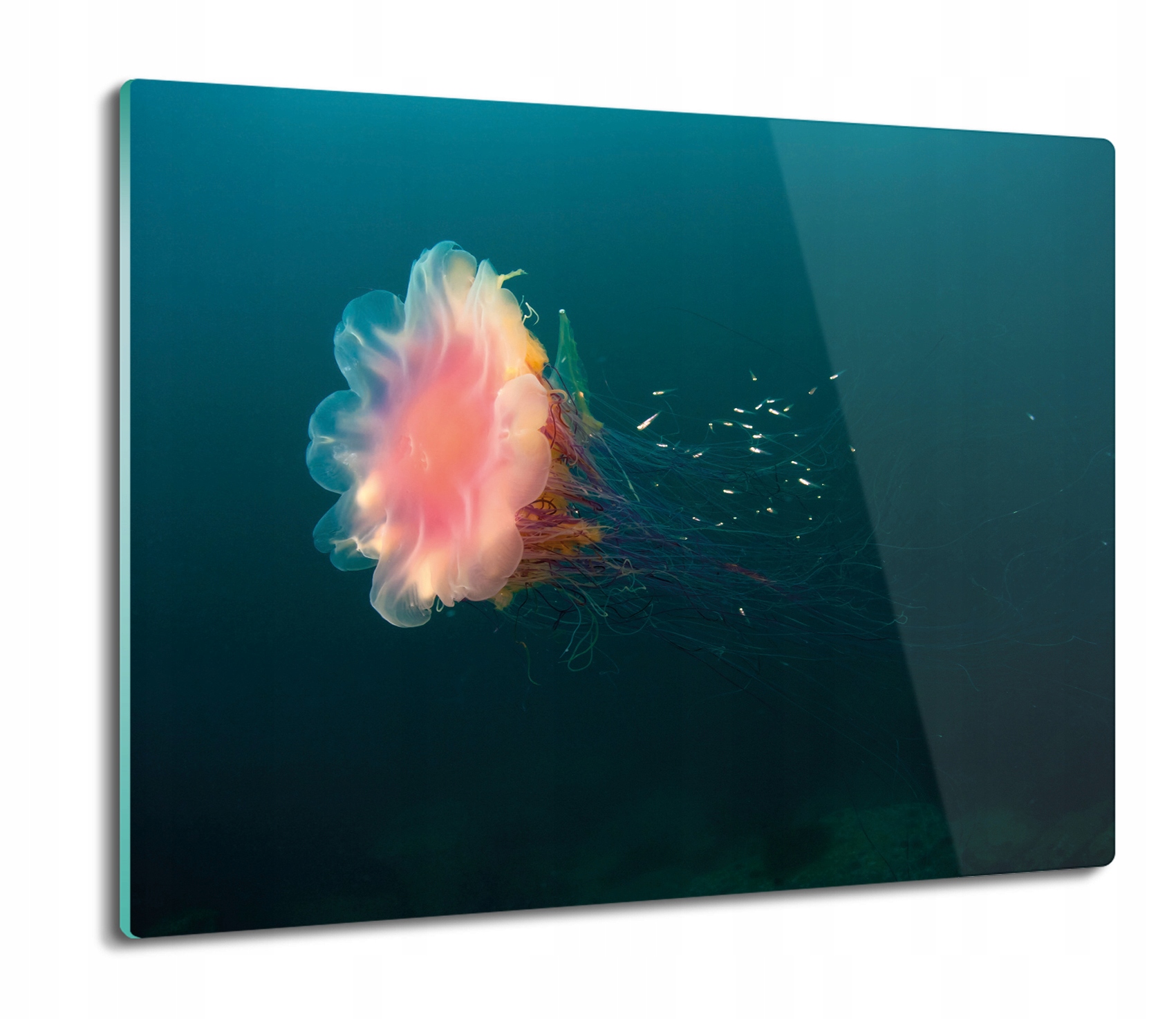 

Meduza ocean morze 60x52 deska podkładka szklana