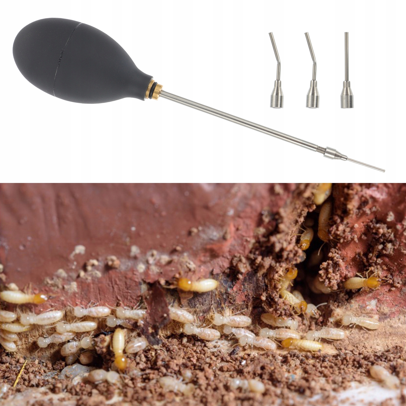 Sada Štětců Na Insekty S Barevnými Koncovkami