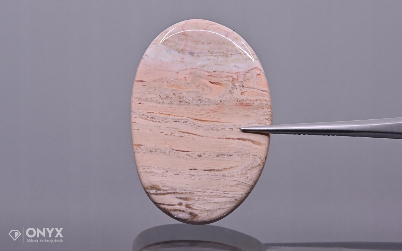 Zkamenělá palma konvexní nepravidelná dlažba 36x25 mm