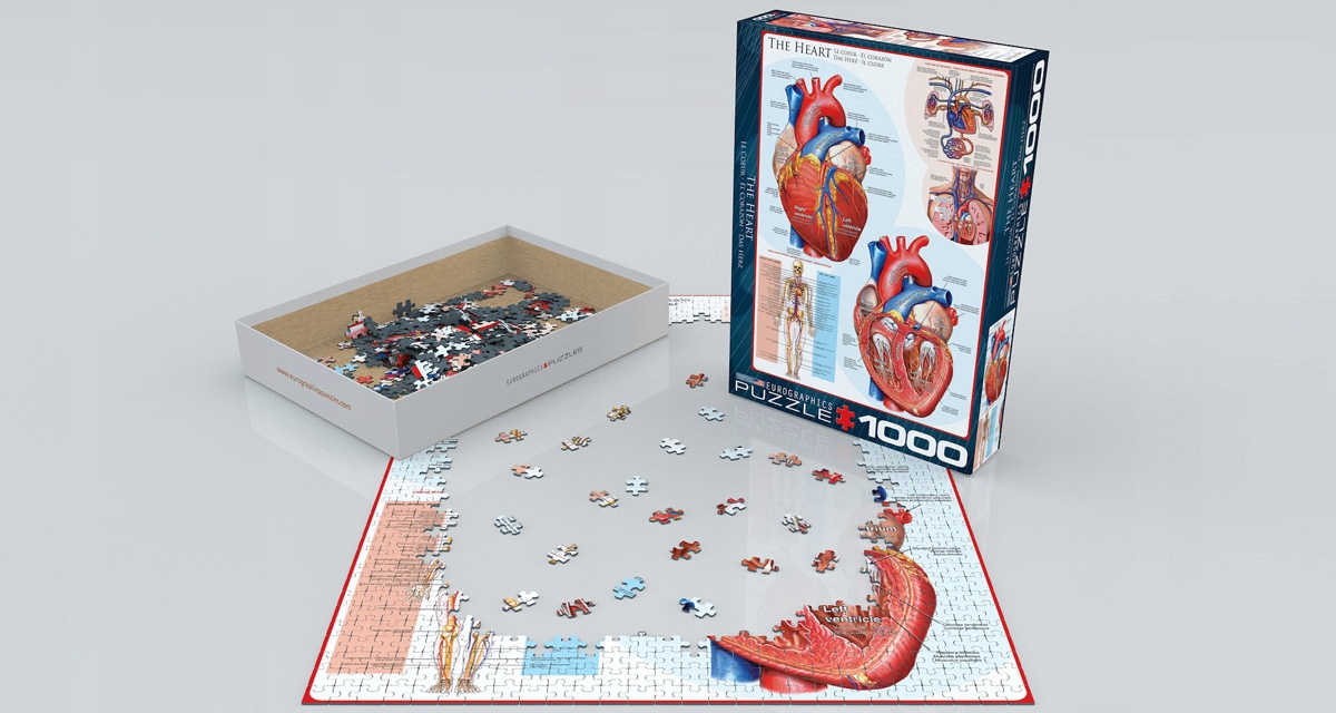 Puzzle Eurographics The Heart Serce 1000 anatomia EAN (GTIN) 628136602570