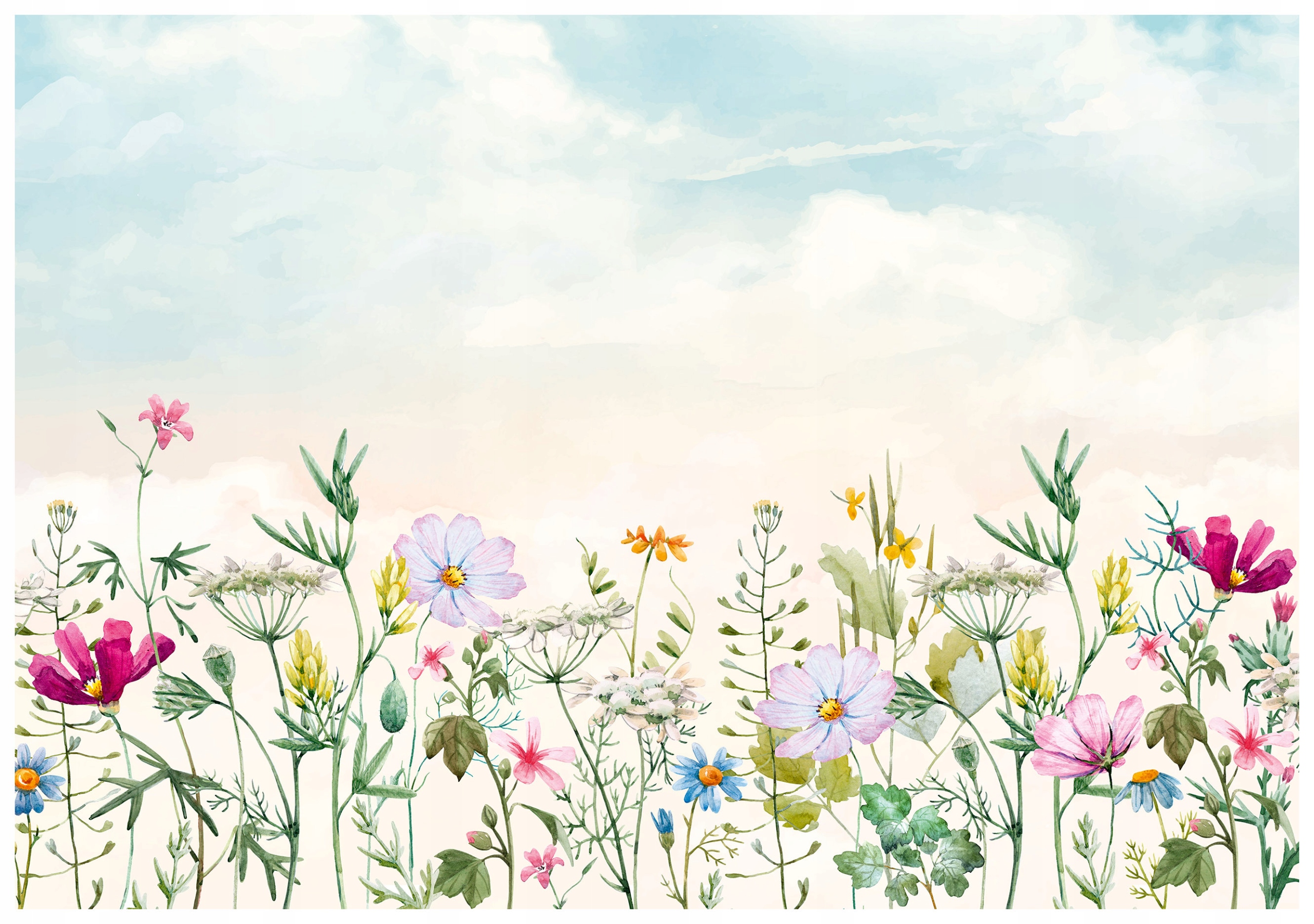 Fototapeta flizelina Akvarijní květiny Provence do ložnice 200x140 lepidlo