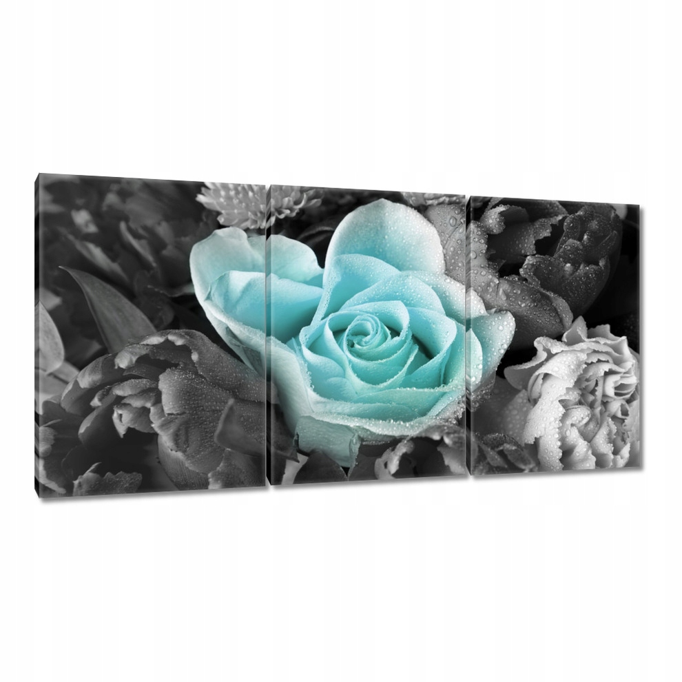 

Obrazy 120x60 Turkusowa róża