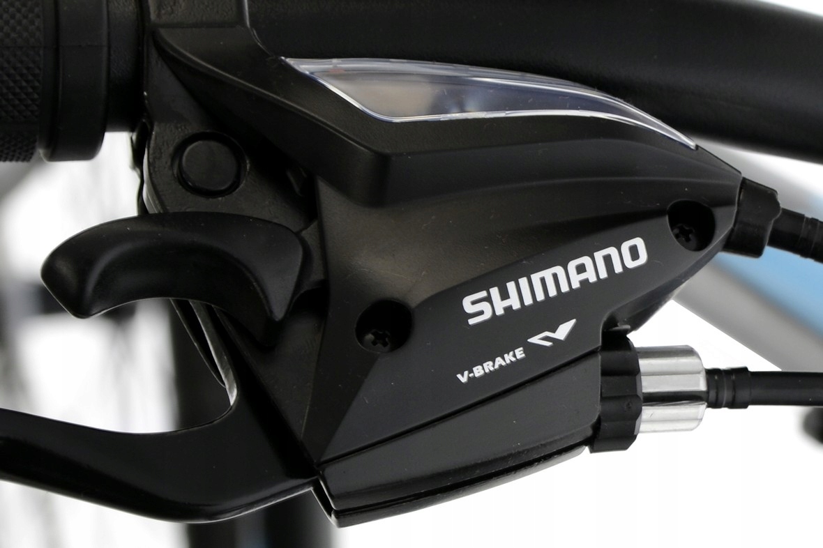 Rower MTB Kands 29 Energy 700 czarno-niebieski r19 Liczba biegów 21