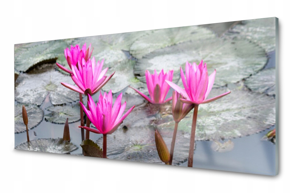 

Panel szklany do kuchni Kwiaty Roślina 125x50