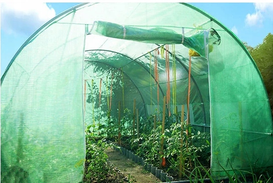 OGROMNY 3m x 2m TUNEL FOLIOWY OGRODOWY DO OGRODU SZKLARNIA FOLIAK PLANDEKA EAN (GTIN) 52155151401671