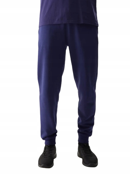 Pánské teplákové kalhoty 4F 4FWSS24TTROM603-31S modré jogger tepláky L;