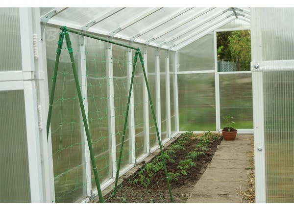 Tyczka Do Pomidorów Roślin 0,8X60 NAWODNIENIE Kod producenta TYP08060