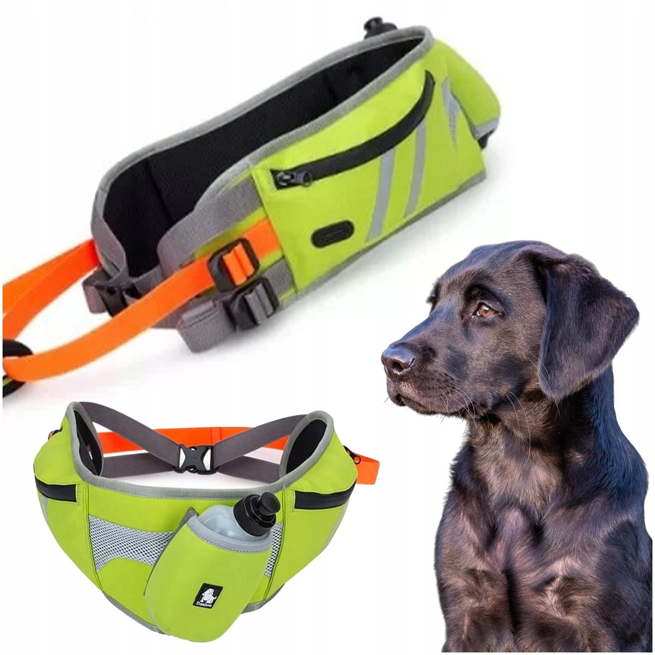 Běžecký Pás Se Psem Dogtrekkingový Truelove Limetkový
