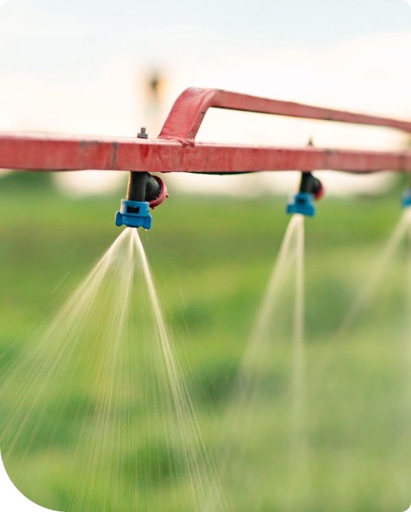 SINGLIF 360 SL 1L SKUTECZNY HERBICYD TOTALNY NA CHWASTY DROGI CHODNIKI Forma płyn