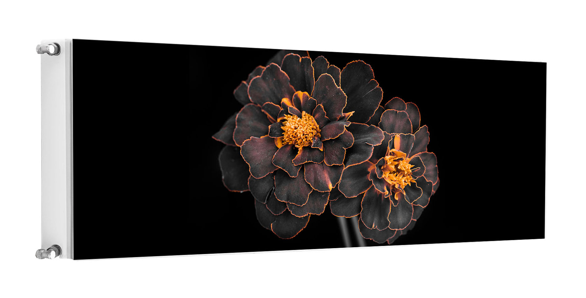Magnetka Magnetická Podložka Na Radiátor 160x60 Kvety Fototapeta