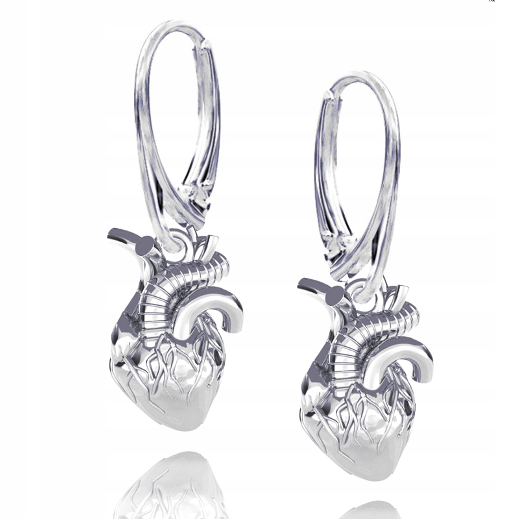 3D Anatomické Srdce Stříbrné náušnice na anglickém biglu stříbro 925