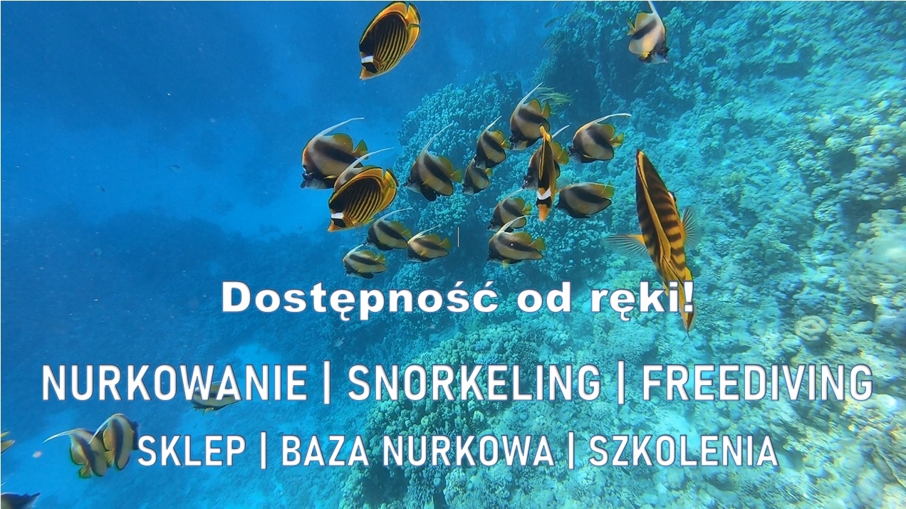 Rękawice neoprenowe 5 mm BARE Ultrawarmth S Kolor dominujący czarny