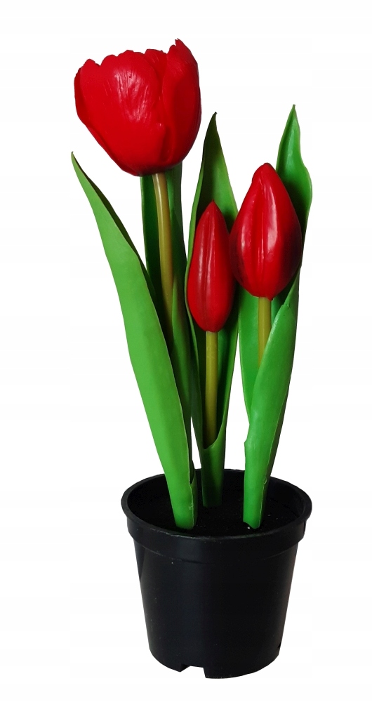 

Tulipan Tulipany Silikonowe w osłonce Czerwone