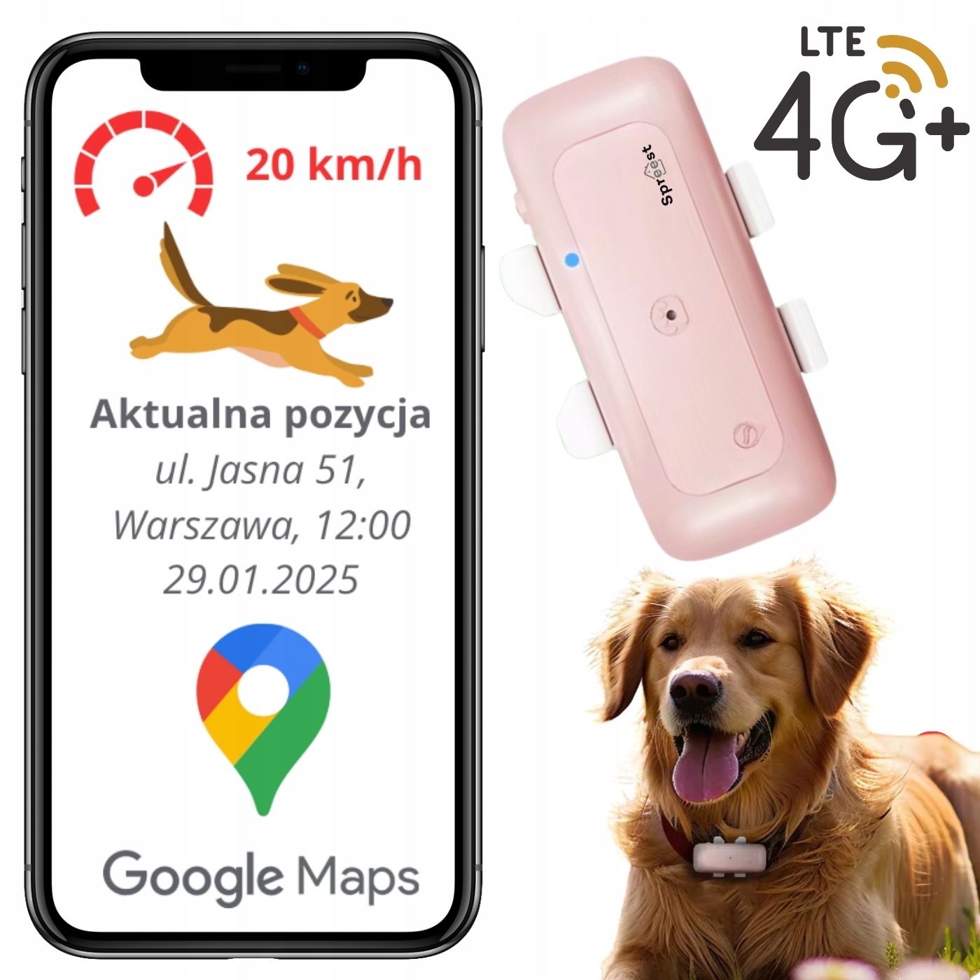 Lokalizator Gps 4G Dla Zwierząt Lokalizator Dla Psa Kota Bez Abonamentu