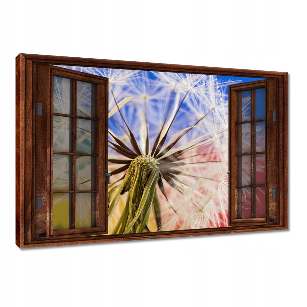 

Obrazy 120x80 Dmuchawiec w kolorach